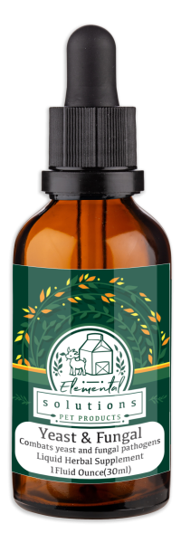Tinctures_YeastAndFungal_Mockup Tinctures_YeastAndFungal_Mockup